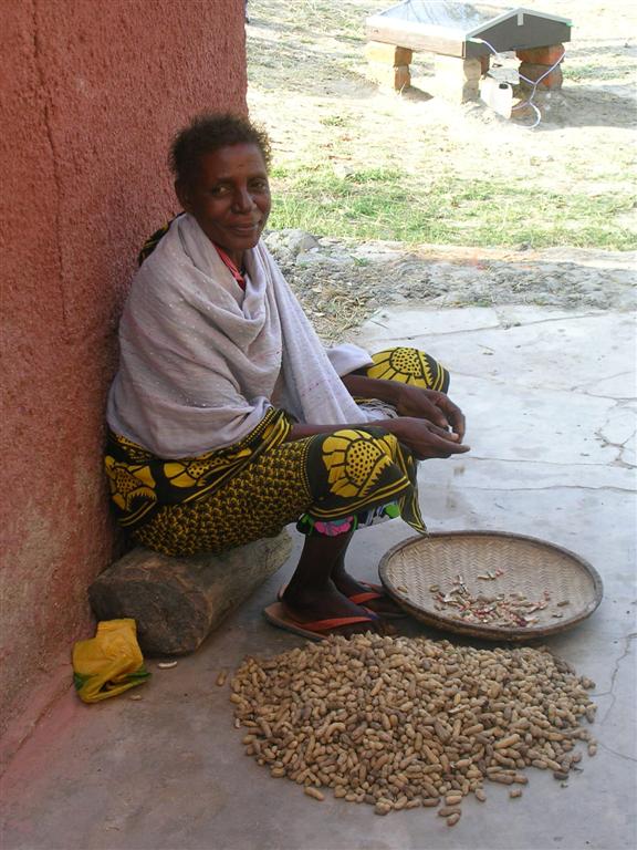 Le donne sbucciano le noccioline (Karanga) fuori dalla missione in cambio di offerte